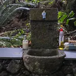 Quinta De Sao Caetano - Sao Miguel Acores Agroturismo