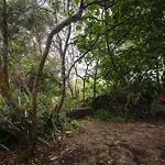 Quinta De Sao Caetano - Sao Miguel Acores * Populo (Sao Miguel)