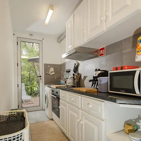 Quinta De Sao Caetano - Sao Miguel Acores ファームステイ Populo