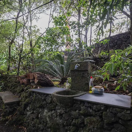 ファームステイ Quinta De Sao Caetano - Sao Miguel Acores