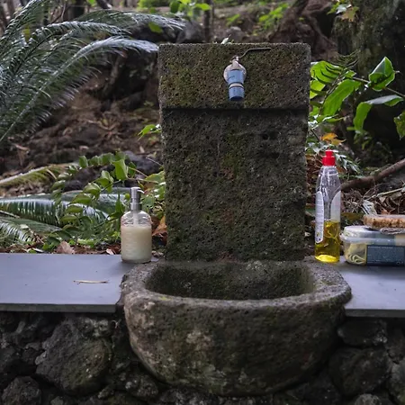 Quinta De Sao Caetano - Sao Miguel Acores ファームステイ