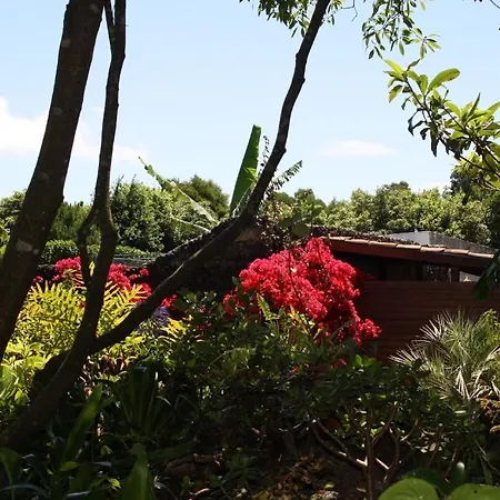 卡埃塔诺别墅 - 亚速尔群岛圣米格尔山 农家乐 *