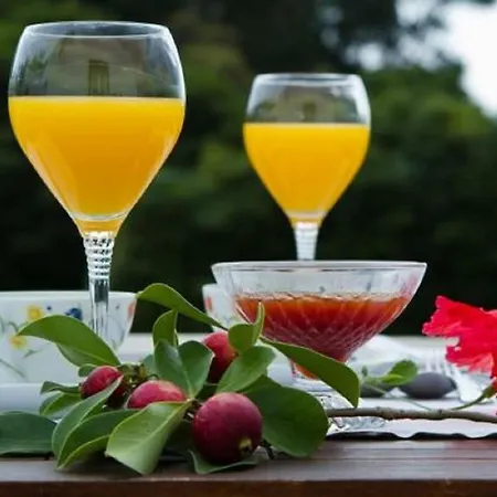 卡埃塔诺别墅 - 亚速尔群岛圣米格尔山 * Populo (Sao Miguel)